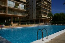 Appartement in Benicàssim / Benicasim - VILLAMANUELA  II 8 V