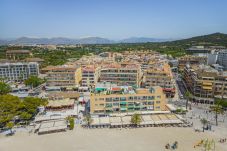 Appartement in Alcudia - Apartamento Xara / La Perle d’Alcúdia