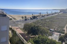 Appartement in Torrevieja - 113 Beach and Trees - Alicante Holiday