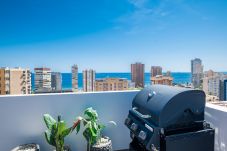 Studio in Benidorm - Penthouse Cervantes Sea View Levante Beach