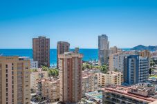 Studio in Benidorm - Penthouse Cervantes Sea View Levante Beach