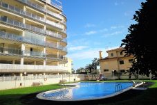 Appartement in Peñiscola - P. Maritimo 4º Pta 30 LEK