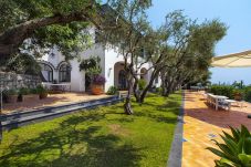 Villa in Positano - La Villa Positano