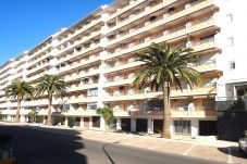 Appartement in Peñiscola - Peñismar I Bloque B