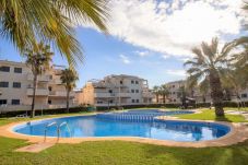 Appartement in Alcocebre / Alcossebre - Bajo con terraza ARENAS Urbanización familiar