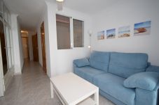 Studio in Benidorm - CABALLOS 8E (ESTUDIO)