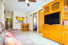 Appartement in Torrevieja - ID103