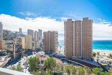 Appartement in Benidorm - Albatros Deluxe 15-5 Apartment Levante Beach