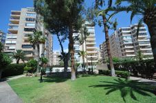 Appartement in Benicàssim / Benicasim - MADEIRA 3-1-D