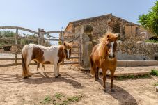 Vakantieboerderijen in Campos - YourHouse Son Sala Agroturismo Galliner - doble