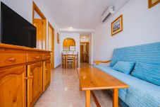 Appartement in Torrevieja - ID116