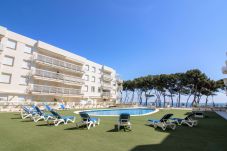 Appartement in Alcocebre / Alcossebre - CALA GONZALEZ Primera linea Playa Cargador