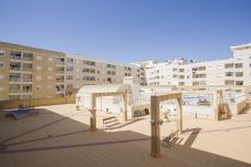 Appartement in Torrevieja - 141 Rambla Nice Place - Alicante Holiday