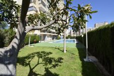 Appartement in Benidorm - MARISCAL 4 4C