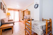 Appartement in Torrevieja - ID26