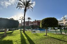 Appartement in La Mata - 054 Sun Olive Apartment-Alicante Holiday