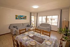 Appartement in Alcocebre / Alcossebre - Apartamento con WiFi a 50 metros del Cargador