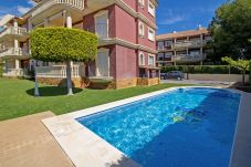 Appartement in Alcocebre / Alcossebre - Apartamento a 150 metros del mar - MADEIRA