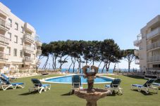 Appartement in Alcocebre / Alcossebre - Ático exclusivo en primera línea CALA GONZALEZ