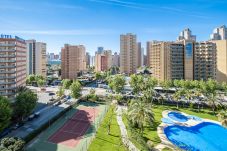 Appartement in Benidorm - Torres Doboe 7-2 Apartment Levante Beach