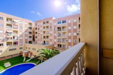 Appartement in Torrevieja - ID202