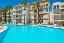 Appartement in Albufeira - Albufeira Terrace Pool Garage Dream Flat