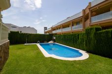 Appartement in Alcocebre / Alcossebre - Bajo con terraza junto a la piscina - Madeira