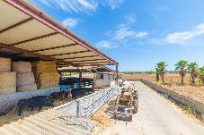 Chalet in Campos - SA CASETA DE SES VAQUES.SON COVAS - House in agrot