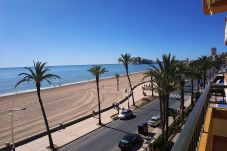 From the terrace of the apartment you can see the medieval castle of Peñiscola