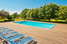 Swimming pool and trees