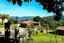 Bungalow in Arcos de Valdevez - Casa do Penedo T1 - Quinta do Toural