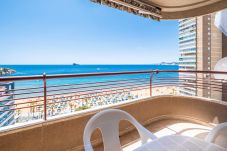 Apartment in Benidorm - Coblanca 8-92 Apartment Levante Beach