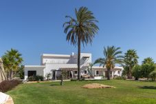 Villa in Santa Eulalia des Riu - VILLA COMETA - B