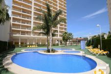 Apartment in Calpe / Calp - AMBAR BEACH 18D