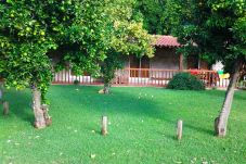 House in Vieira do Minho - Quinta de Jaco