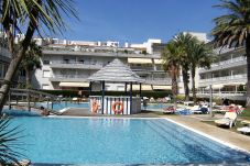 Apartment in Estartit - ILLA MAR DOR 239