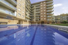 Apartment in Santa Susana - HomeHolidaysRentals Santa Susanna VIII