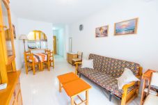 Apartment in Torrevieja - ID70