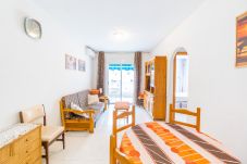 Apartment in Torrevieja - ID70