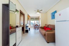 Apartment in Torrevieja - ID99