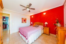 Apartment in Torrevieja - ID114