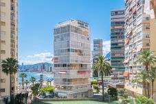 Apartment in Benidorm - Carabelas III 1-3 Apartment Levante Beach