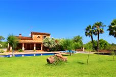 Garden, open space, sun, holidays