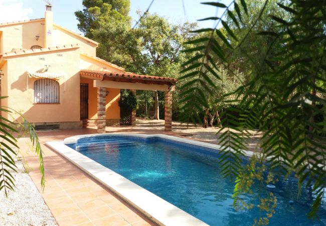 Villa/Dettached house in Ametlla de Mar - AME447