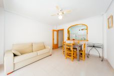 Apartment in Torrevieja - ID68