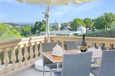 Terrace villa holiday rentals Portals Nous Mallorca