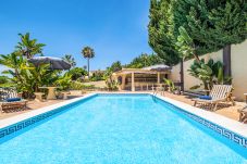 Villa in Albufeira - Villa Crisandra