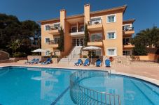 Apartment in Cala San Vicente - PINOS ALTOS 01