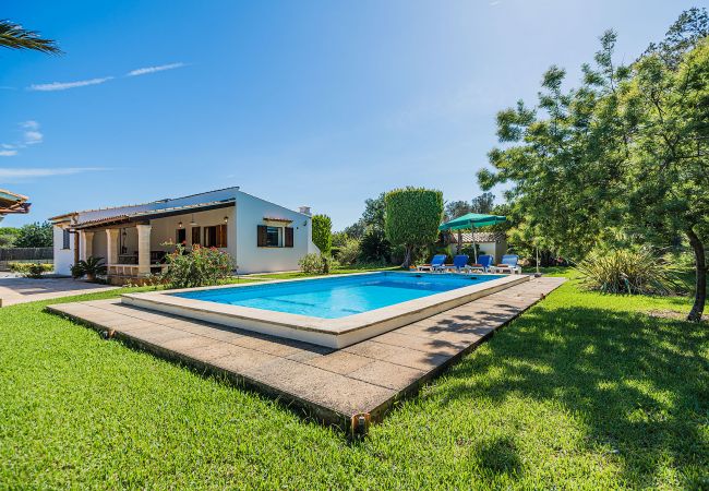 Villa/Dettached house in Pollensa / Pollença - Moreno II