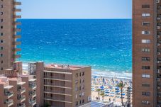 Studio in Benidorm - Los Caballos 12-C Levante Beach